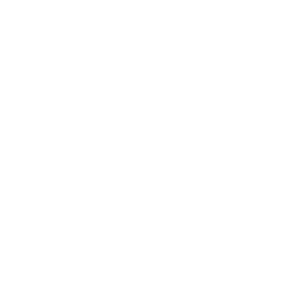THE ESSENCE OF NIPPON