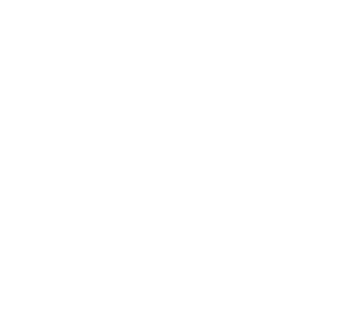 THE ESSENCE OF NIPPON