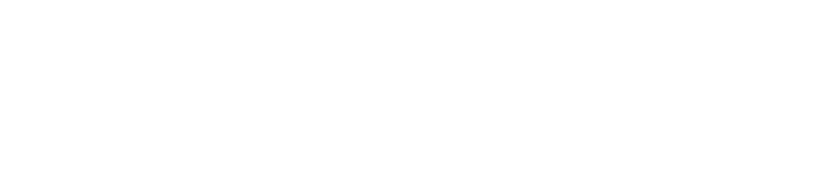 The Garden Path and the Lights of the Tea House