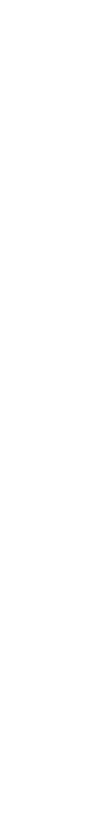 다실의 길 과 빛
